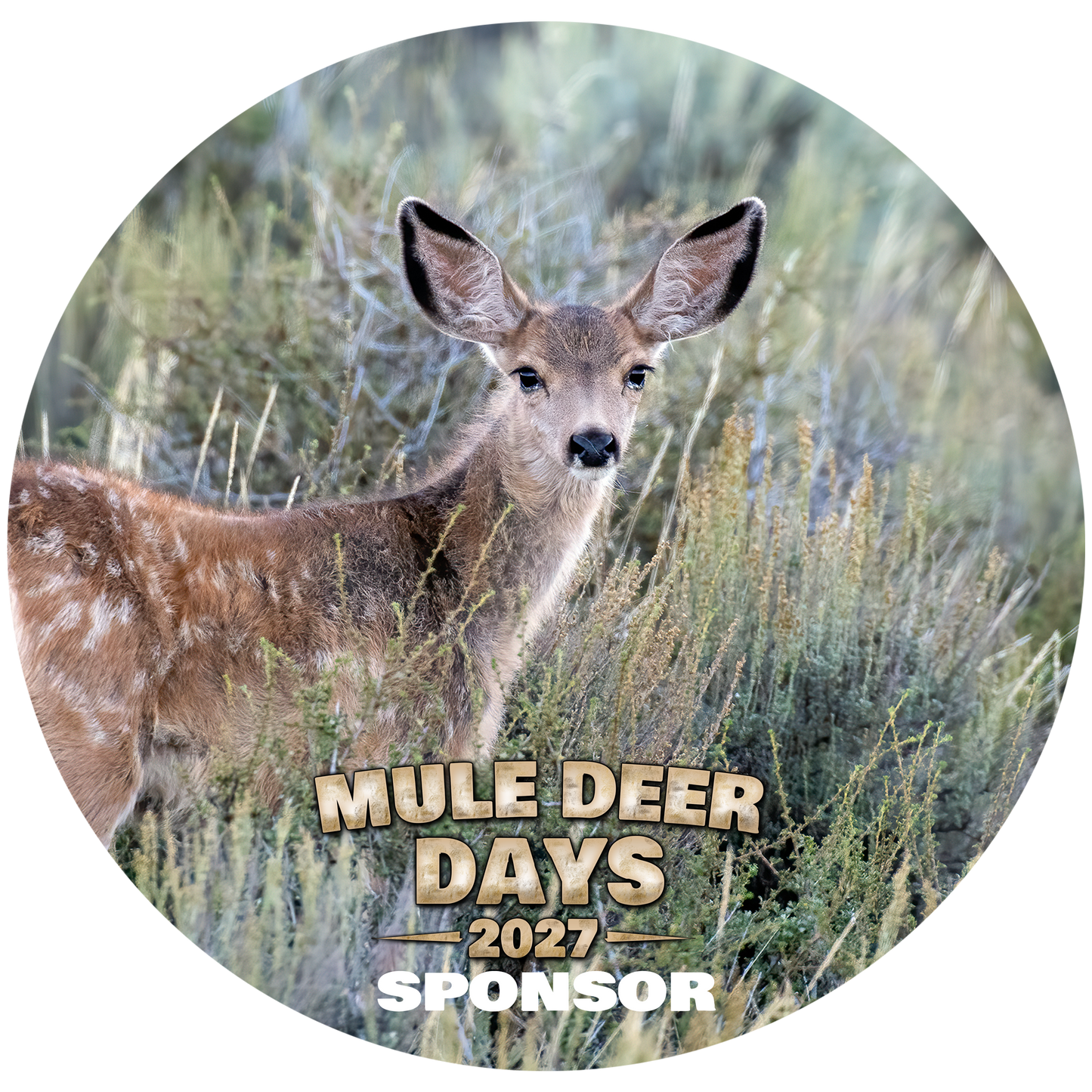 $500 Fawn Sponsor to Mule Deer Days