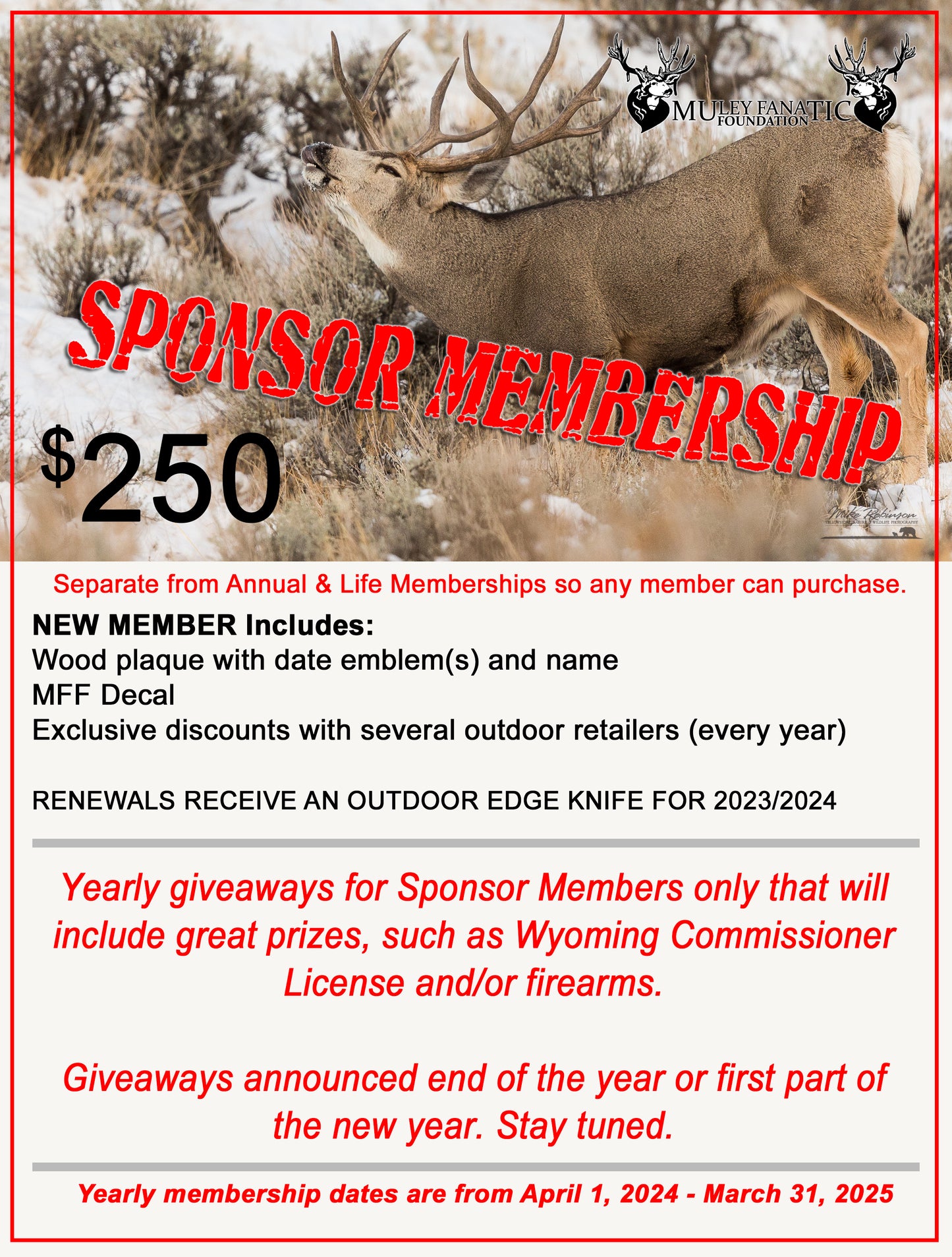 Sponsor Membership